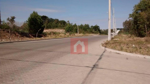 Imagem 5 de 13 de Terreno À Venda, 377 M² Por R$ 142.000,00 - Santa Catarina - Farroupilha/rs - Te0029