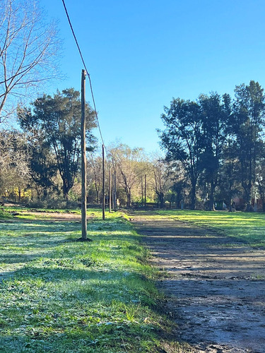 Venta De Lotes En General Rodriguez, Terrenos De 300 Mts, Excelente Ubicación Y Acceso, Oportunidad Única, Venta Directa, Lotes Con Servicios Y Sin Expensas. Barrio Pinares Del Casco.