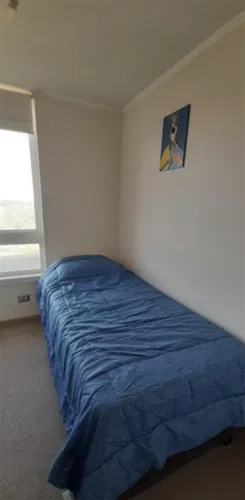 Arriendo Depto 3d 2b Mayo-dic O Año Corrido En Gómez Carreño