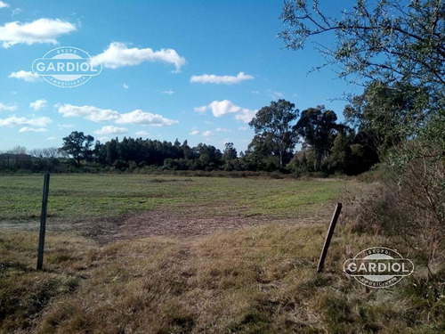 Venta De Chacra En Riachuelo. Colonia