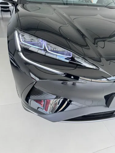 Byd Sealion Ev Wg
