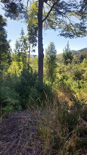 Parcela De 5000m2 A Orilla De La Ruta 206 Valdivia-paillaco
