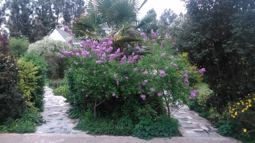 Casa De Arquitectura Única Y Preciosos Jardines Y Entorno