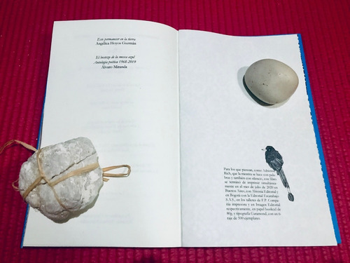 Imagen 7 de 9 de Estrellas De Mar Sobre Una Playa - Margaret Randall