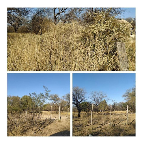 Imagen 12 de 19 de Campo Ganadero Y De Siembra En Venta En Lafinur, Provincia De San Luis