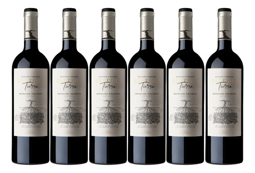 Vino Séptima Tierra Malbec Los Chacayes 1200 Msnm 6x750 Ml