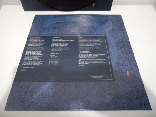 Lp Pink Floyd - A Momentary Lapse Of Reason - Irland (Usado)
