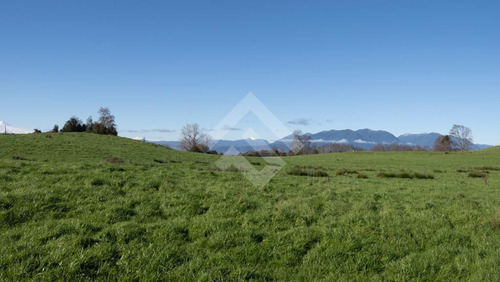 Sitios En Venta En Panguipulli