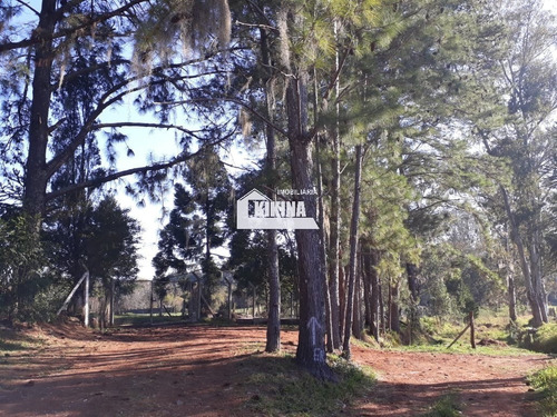 Chácara Para Venda - 11039