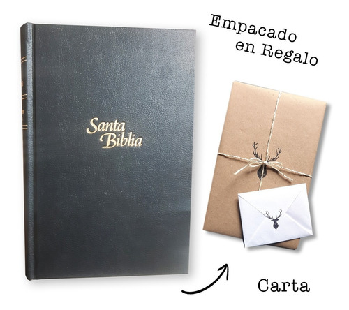 Biblia Ntv/edicion Personal/letra Grande Negro Tapa Dura