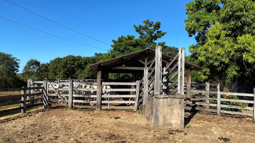 Venda De Fazenda Com Estrutura Completa Potencial Produtivo
