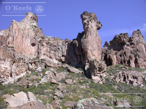 Campo En Venta De 635 Has Bariloche, Costa Del Pichileufu, Rio Negro.