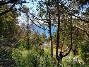 Imagen 3 de 3 de Terreno - Bariloche