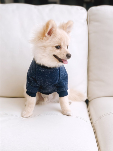 Imagen 5 de 6 de Suéter Para Perritos Razas Pequeñas Blue