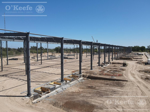 Imagen 8 de 18 de Depositos - Galpones Aaa En Alquiler Modulos De 1.100 M2 - Rotonda Gutierrez - Florencio Varela