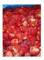 Comprar Frutillas Enteras Congeladas Iqf Mataderos