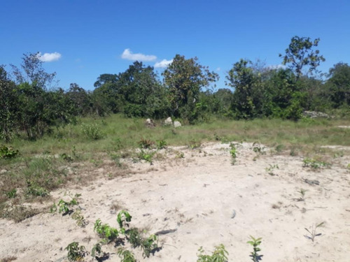 Imagem 11 de 28 de Fazenda À Venda, 3.106 Ha Por R$ 30.000.000 - Zona Rural - Cocalinho/mt - Fa0002