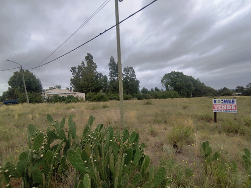 Lote En Venta Barrio San Carlos (pegado A Barrio Paihuen)