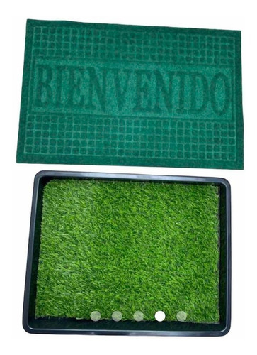 Tapete + Recipiente Desinfectante - Unidad a $33900
