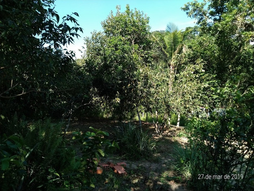 Terreno Para Venda, 622.5 M2, Guaratiba - Rio De Janeiro - 734