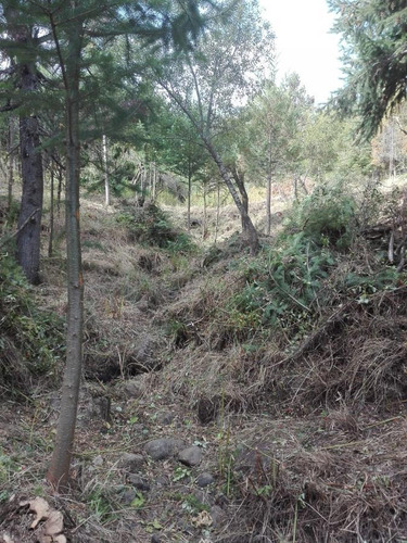 Terreno - Las Golondrinas
