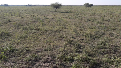 Imagen 19 de 21 de Campo Ganadero Trabajando