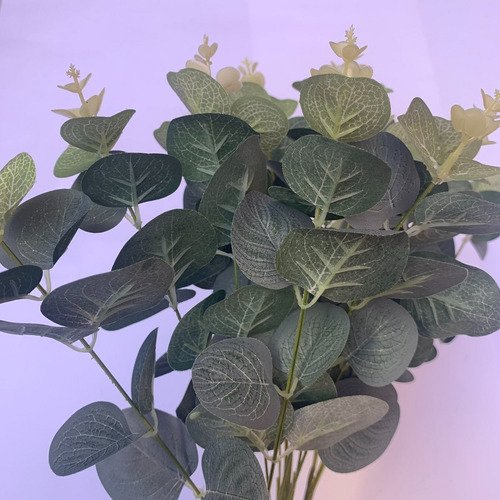 Plantas Artificiales, Lady Pía, Ramo De Eucalipto
