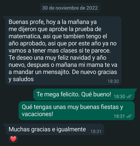 Profesora Matemática Física Química - Online - Virtual