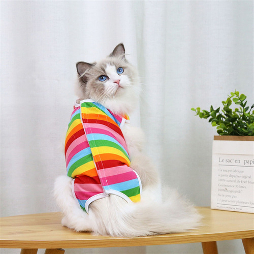 3 Pcs Traje De Recuperación Para Gatostranspirable Trajes