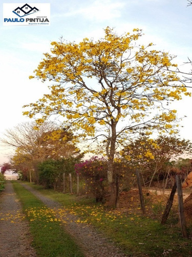 Imagem 22 de 29 de Sitio Em Cardeal (elias Fausto) Com Casa Sede, Lagos, Pista De Hipismo, Baias De Cavalo E Lindo Paisagismo - St00058 - 33668276
