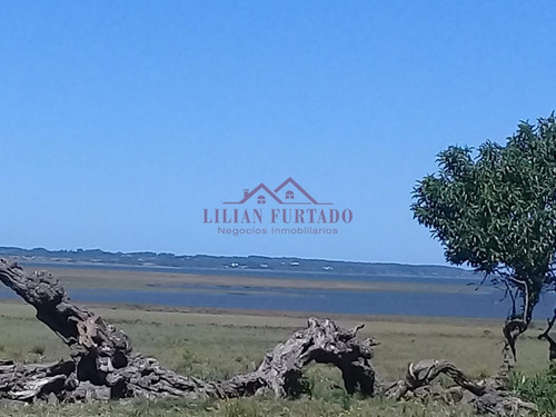 26 Has En Zona Laguna Jose Ignacio - Ref: 654