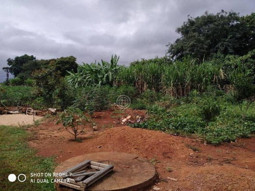 Imagem 8 de 14 de Chácara Com 4 Dormitórios À Venda, 4000 M² Por R$ 370.000,00 - Alto Da Boa Vista - Foz Do Iguaçu/pr - Ch0031