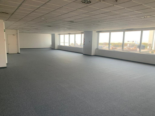 Imagen 4 de 11 de Alquiler Oficina | Catalinas Plaza | 9° Piso