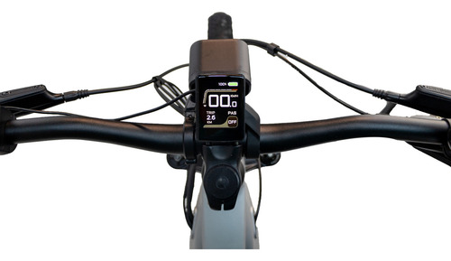 Ebike Mtb Bicicleta Asistida Enduro Roue Terradox 29 Color Turquesa