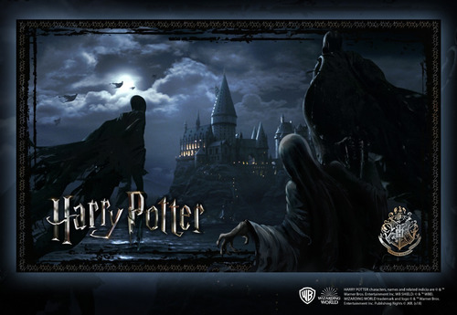 Rompecabezas Harry Potter (dementors...) 1000 Piezas Premium
