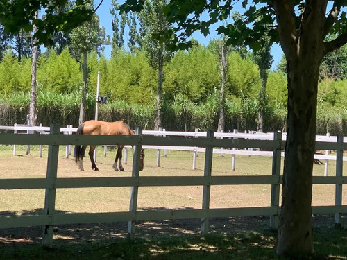 Imagen 7 de 8 de Venta De Lote En Haras De Sol- Pilar