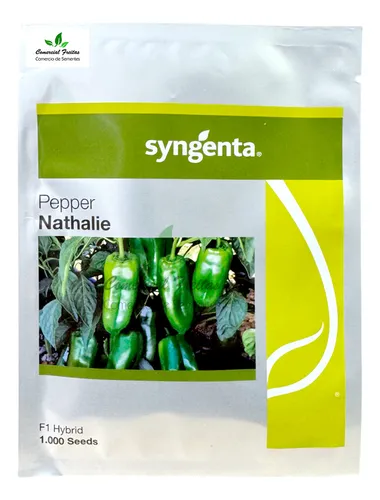 comprar Sementes De Pimentao Hibrido Nathalie F1 Cu002F 1.000 Sementes