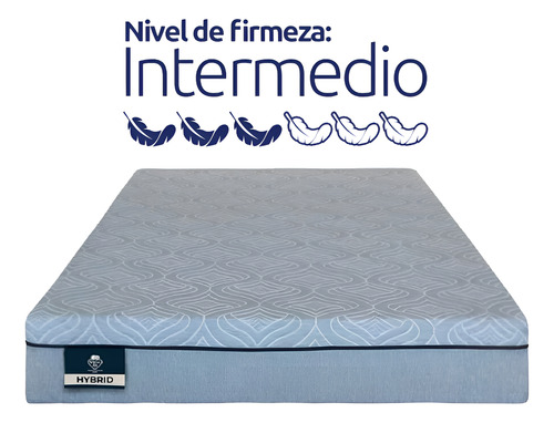 Colchón Matrimonial Spring Air Dreams In A Box Ortopédico Gris