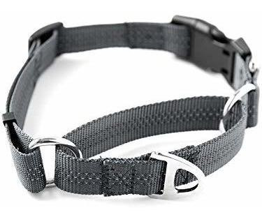 Poderoso Pintor Martingale Nylon Training Collar. Zrbh8