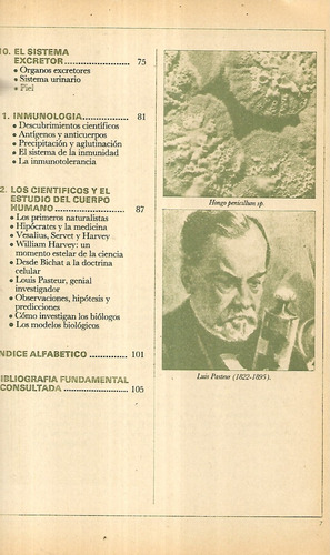 Encicl Tareas Escol / El Cuerpo Humano : Funciones Nutrición (Usado)