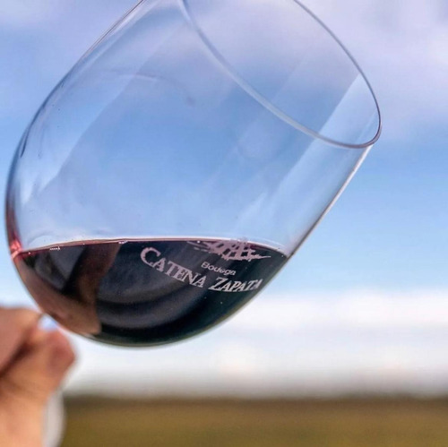 El Enemigo Malbec 2022 Catena Zapata 750ml Caja X 6 Un.