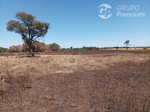 Imagen 12 de 17 de Terreno Agrícola En Venta En Victoria