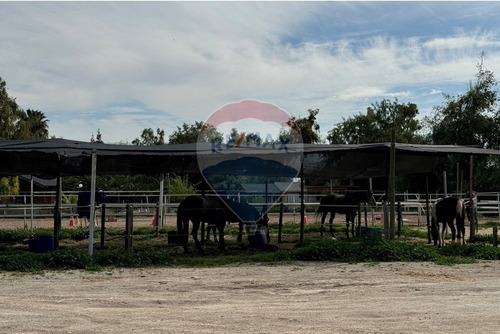 Se Vende Parcela Batuco De 8300 M2