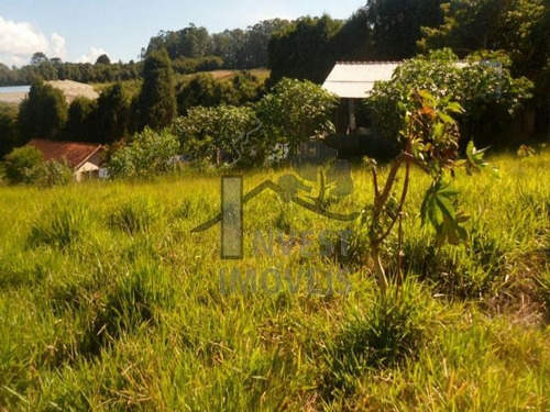 Imagem 1 de 4 de Cód 2644 - Terreno Com 3.800m² De Frente Para O Asfalto!! - 2644