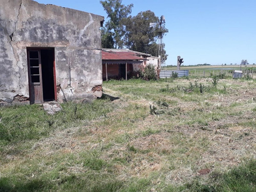 Imagen 8 de 9 de Campo - Villa Soriano