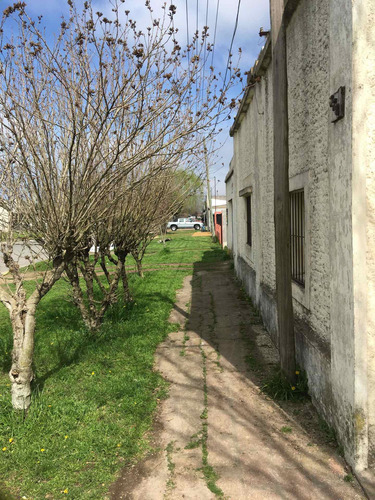 Imagen 6 de 13 de En Venta Casa En Tapalque ( Avd San Martín)