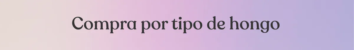 ¡Aprovecha el envío agregando más de nuestros productos a tu carrito!