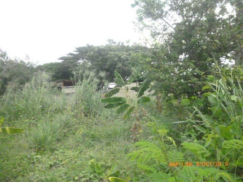 Imagen 10 de 10 de Terreno En Venta En Av. Acosta Carlez, San Juan De Los Morros. 22-19745