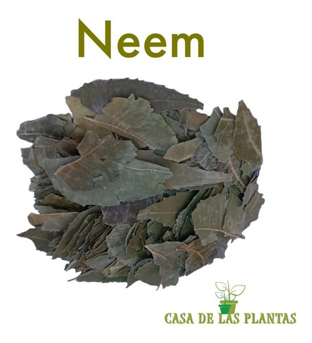 Neem Hojas - Azadirachta Indica Deshidratada 500 Gramos