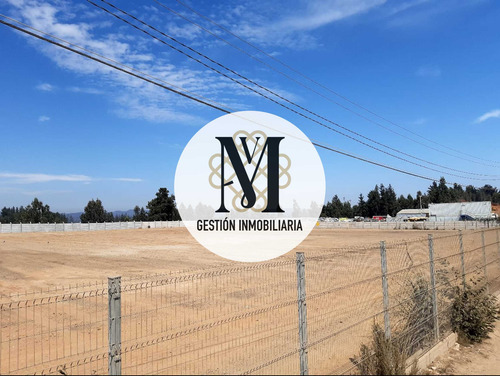 Se Arrienda Terreno Placilla 10.000 M2 (93592)